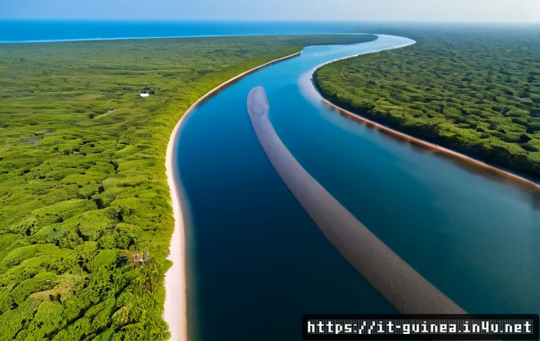 Home 16 기니의 해안선과 해양 생태계 - Photorealistic aerial view of Guinea’s Atlantic coastline near Conakry, sweeping mangrove estuaries ...